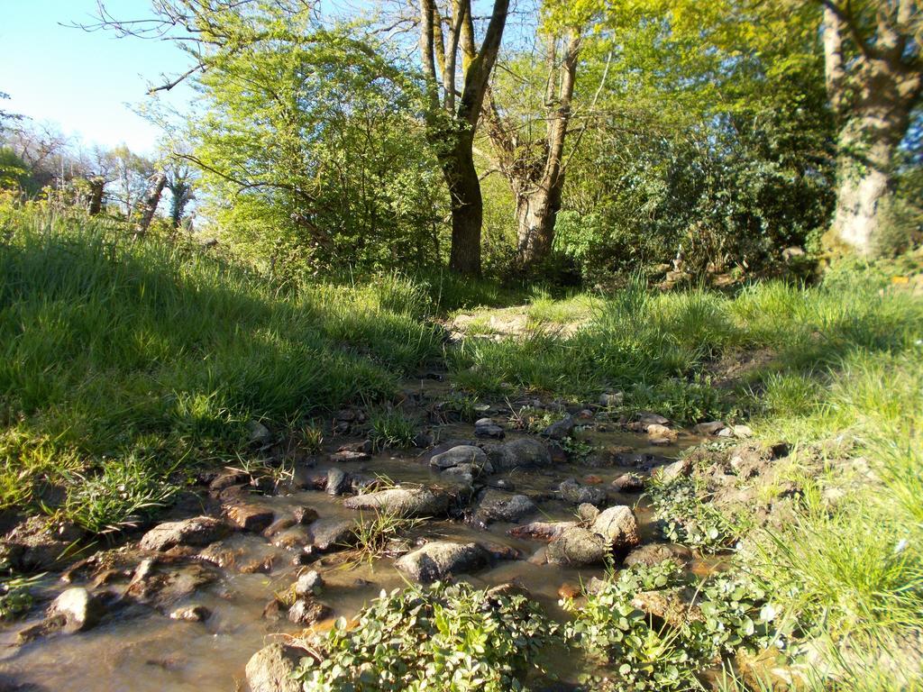 Terre Et Eau Gite Sevremont La Flocellière Eksteriør billede